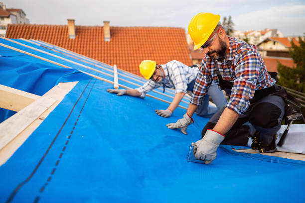 Best Roof Maintenance Services  in Vista Center, NJ